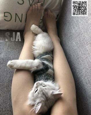 一个b三个人换着玩_最近手机在线观看