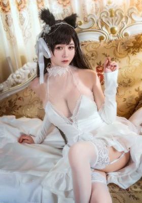 2020精品视频免费观影_蓝光高清完整版播放